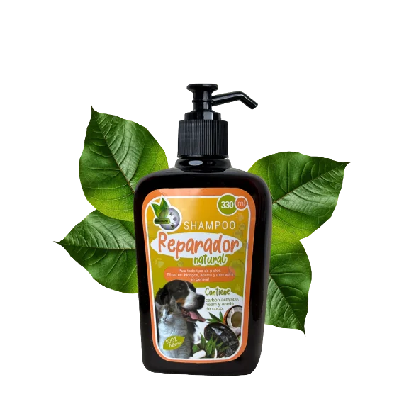 Shampoo Reparador