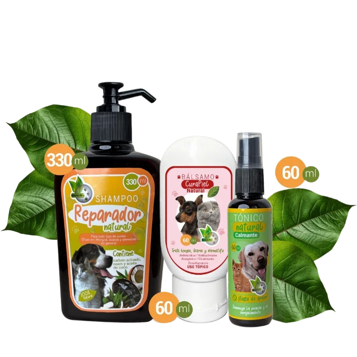 Kit Pequeño